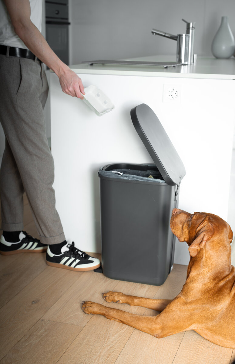 Sammelprofi Impressionen